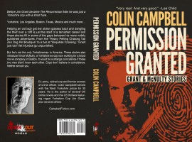 Full Cover: Permission Granted